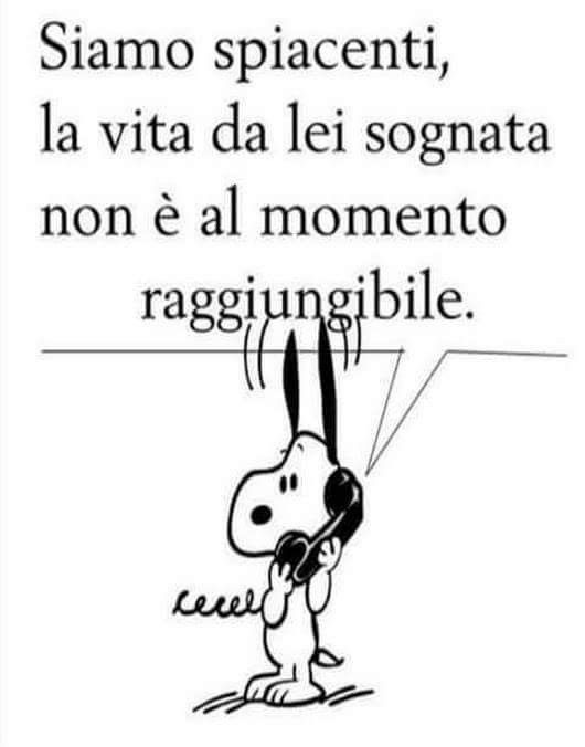 Camille15818665's tweet photo. #persaperlo https://t.co/zLkVeZ44yg