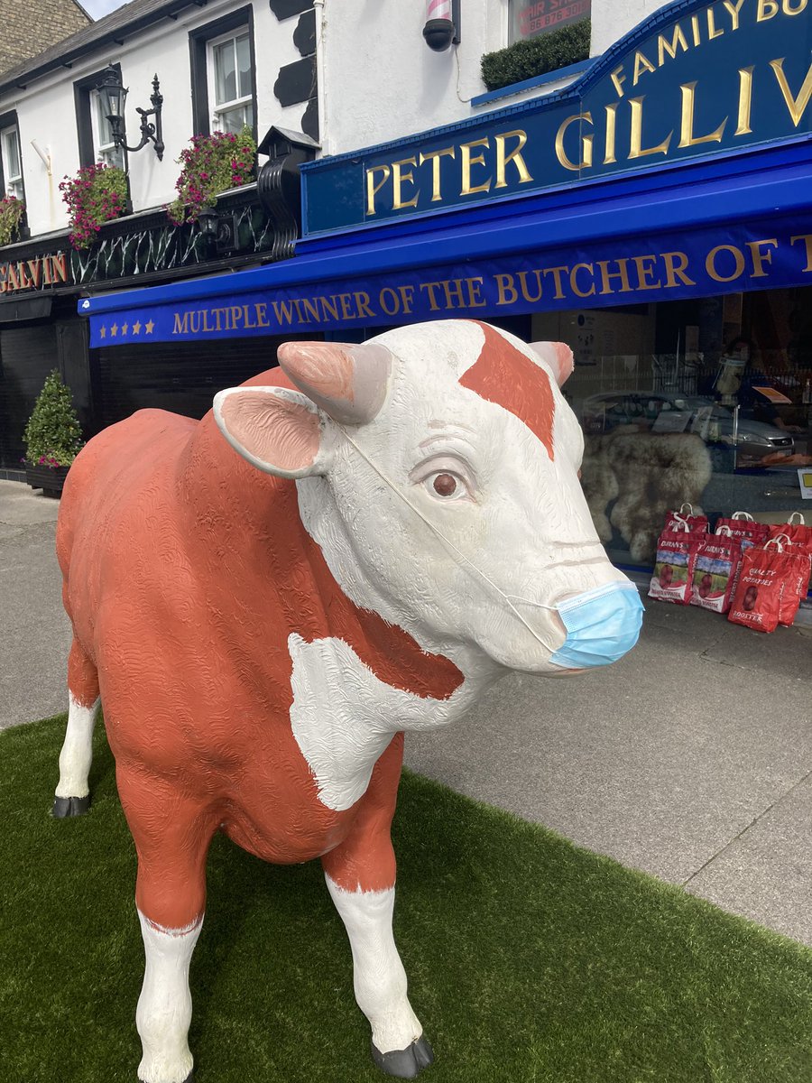 shane maher butcher tweet media