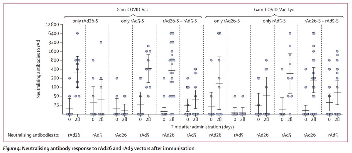 Secondary outcomes from the trial also suggest the vaccines also produce a T cell and neutralising antibody response within 28 days (7/8)