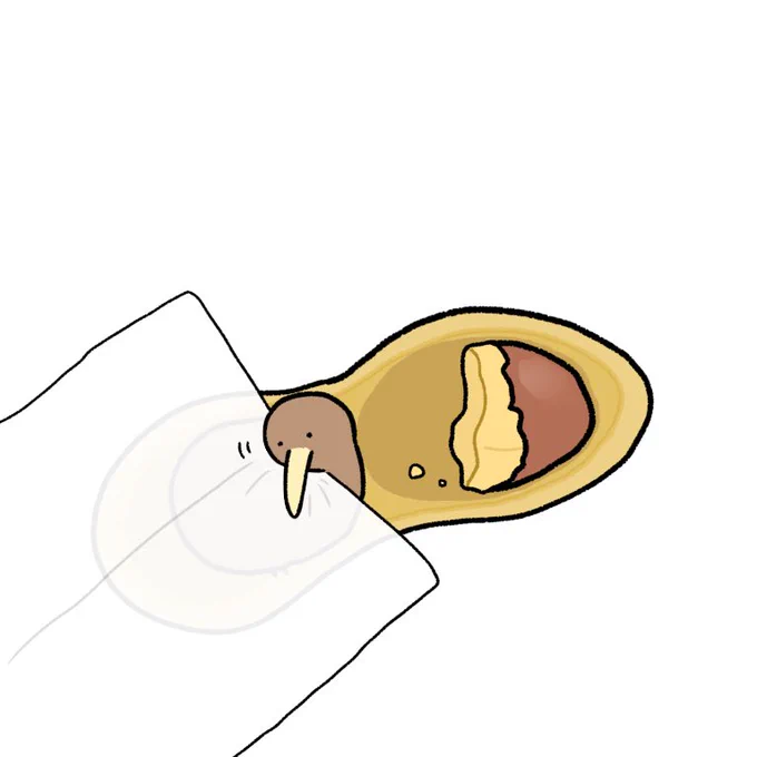 おやすみピーナッツ 