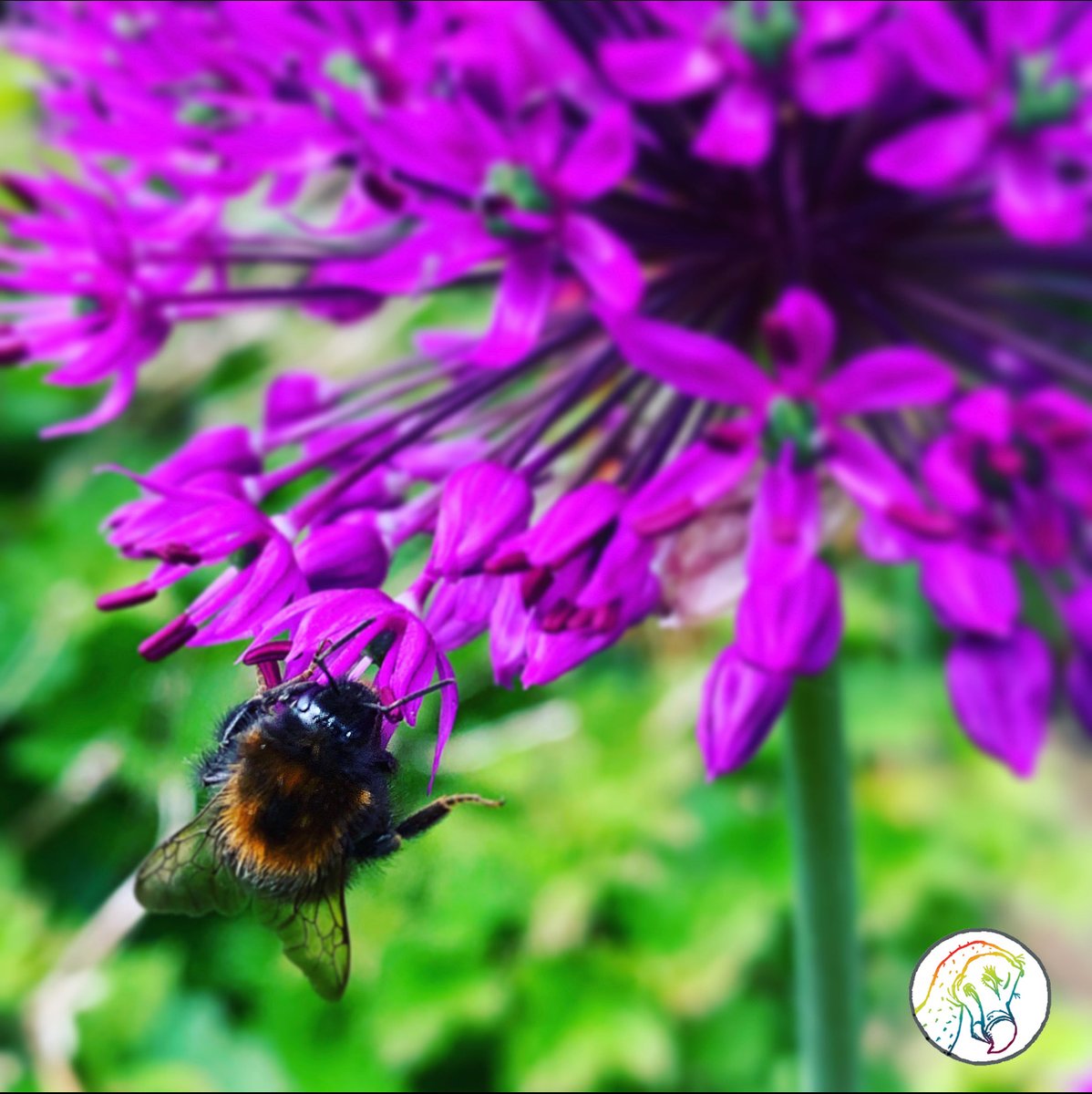 “Oh what a beautiful thing to be..."

Post your #PurpleAndGreen pics, 
include <a href="/lord_dodo/">Dodo_Lord</a>, &amp; #DodoPad2021Colours. 
We’ll be treating our Favourites!
 
Busy Bees keep #ChaosContained with #DodoPad2021
   
#2021Diary #Organiser #Planner #2021Calendar  #MuddleManagement