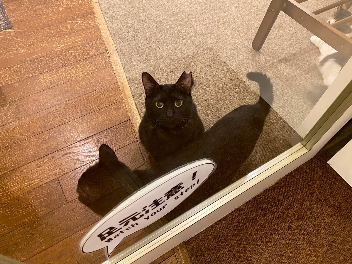 抜歯手術 - Twitter Search