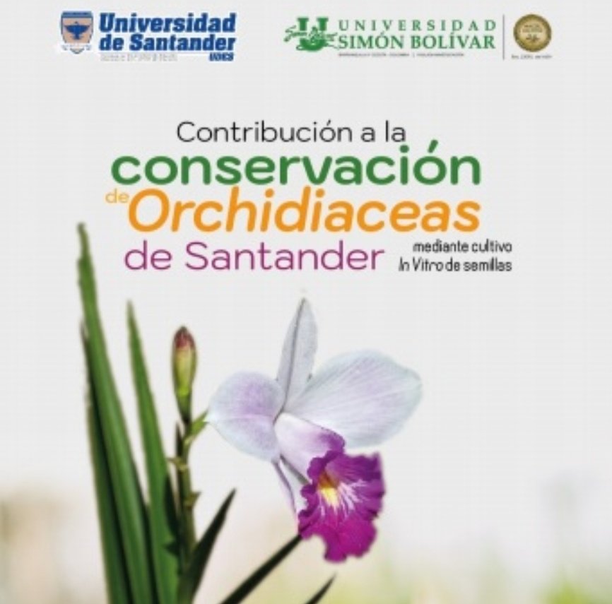 EdicionesUsb's tweet photo. #ellibrodeldia Contribución a la conservación de orchidiaceas de Santander mediante cultivo in vitro de semillas
@udes_oficial @UDESCUCUTA @GobdeSantander @Bibliounisimon 

Disponible en https://t.co/F75auTY6hj https://t.co/8ImBPevN3T