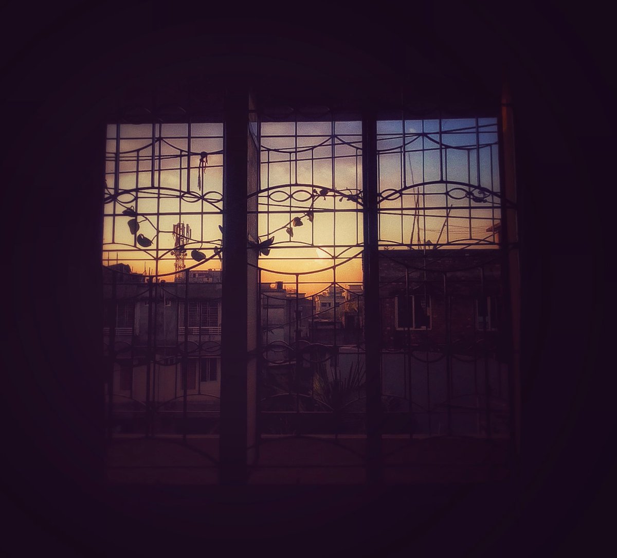 SabihaSabu's tweet photo. #photography #Windows #skylover #skycolor #photographylovers #Myphotography #nature #NaturePhotography #NatureForLife https://t.co/LBUlgrsxyD