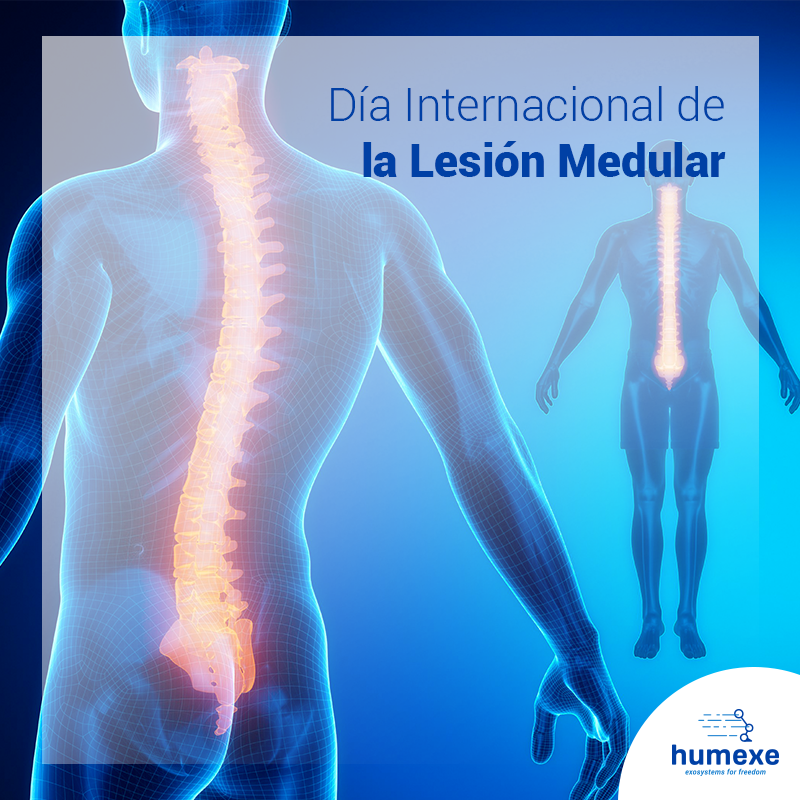 Humexe_eu's tweet photo. La prevención es clave para evitar una lesión medular. ¡Hoy, por el día de la lesión medular, y siempre, ayúdanos a concienciar para prevenir!
#Humexe #LesiónMedular #DíadelalesiónMedular https://t.co/K6mvdx1zQn