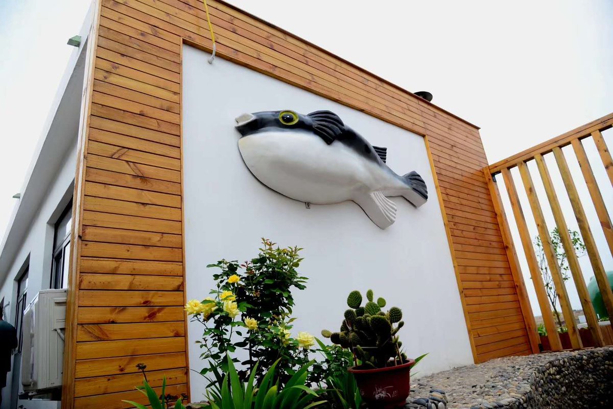 TangshanChina's tweet photo. Caofeidian Puffer Town is famous for breeding puffer fish. There are restaurants and homestays with puffer fish as the theme, as well as various cultural and creative industries. It is an ecological town for leisure and cultural experience. https://t.co/SqLeWGECCD
