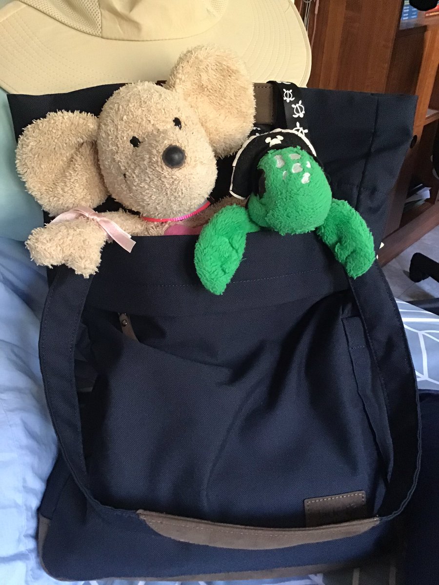 Big Turtler and the fluffy immigrants  tweet media