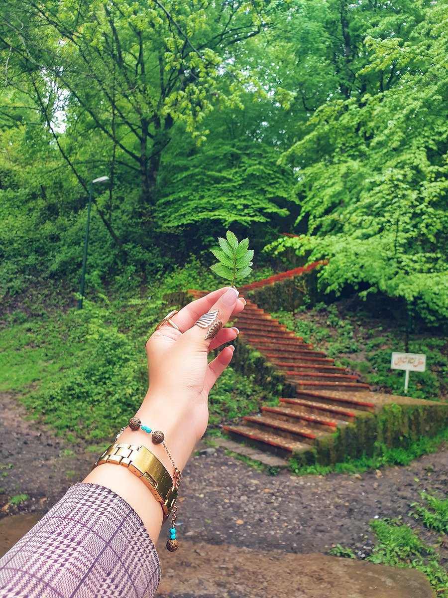 risorius76's tweet image. دلم برای این مدل عکس گرفتنام تنگ شده :)))