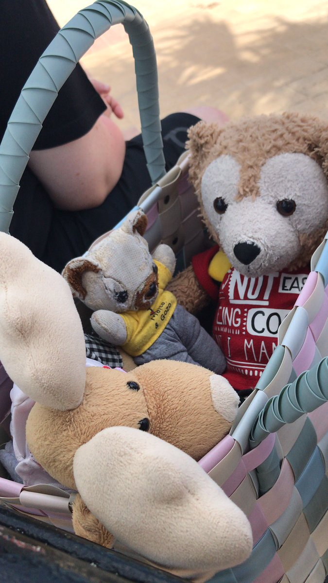 ☀️🏝️🐻👑Philibert👑🐻🏝️☀️ tweet media