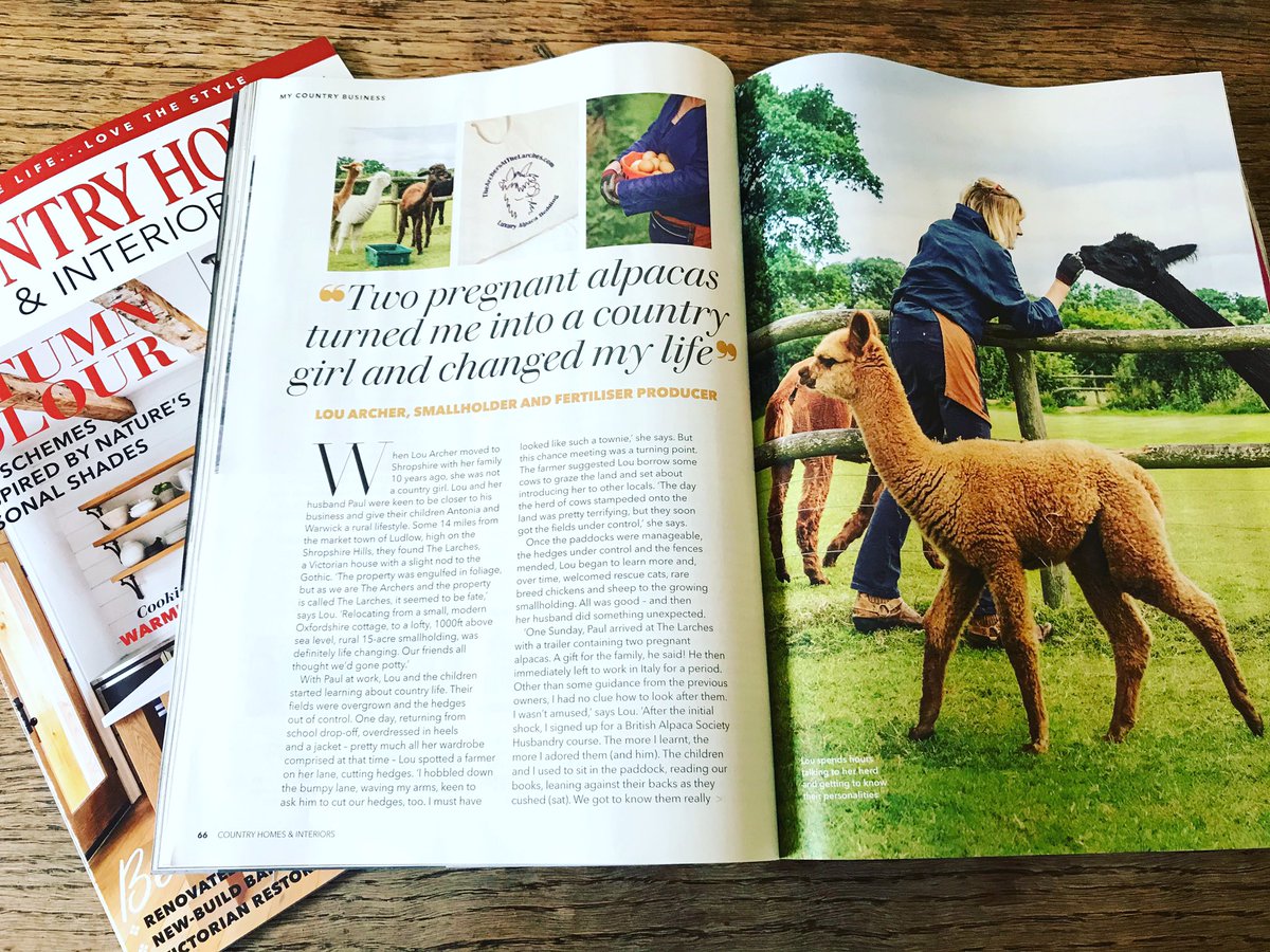 Lovely article on our little rural alpaca farm in #countryhomesandinteriorsmagazine October 2020 issue. Thanks to <a href="/tamsinwesthorpe/">Tamsin Westhorpe</a> and @manoswashere #alpaca #shropshire #countryliving #uk #countryhomes #farm #smallbusiness #escapetothecountry
