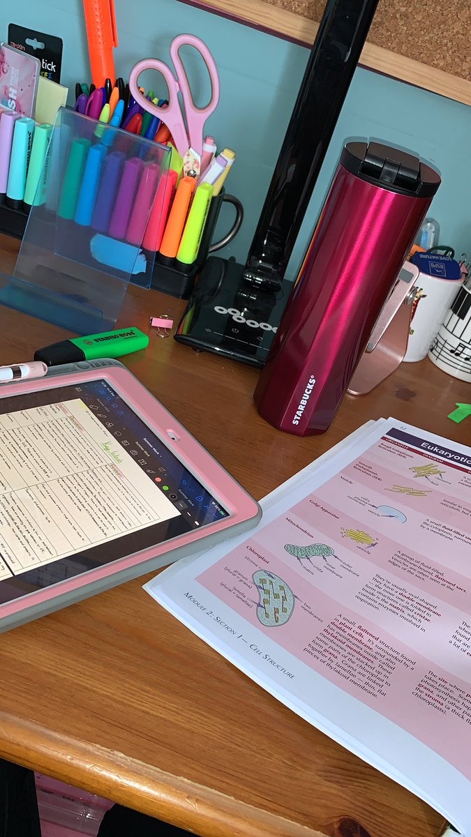 amyleigh3006's tweet photo. @mrymgrlll @steve18harvey study time brew-update here too! #workinghard https://t.co/e8K73bb710