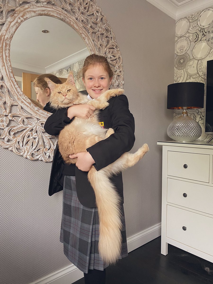 LisaDeville's tweet photo. Off to Year 7 she goes! Making us prouder every day, she’s now a shell! @BablakeHM @bablakeschool https://t.co/Xgr7zIILaQ