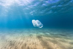 EarthAccounting's tweet photo. The #SingleUse carrier bag charge will be extended to all retailers and increased to 10p from April 2021 #PlasticPollution #PlasticBag #ActOnPlastics #SingleUsePlastics #BagCharge @GreenpeaceUK @CPRE @mcsuk https://t.co/4rwMNb8gCJ https://t.co/0auW43VGgk