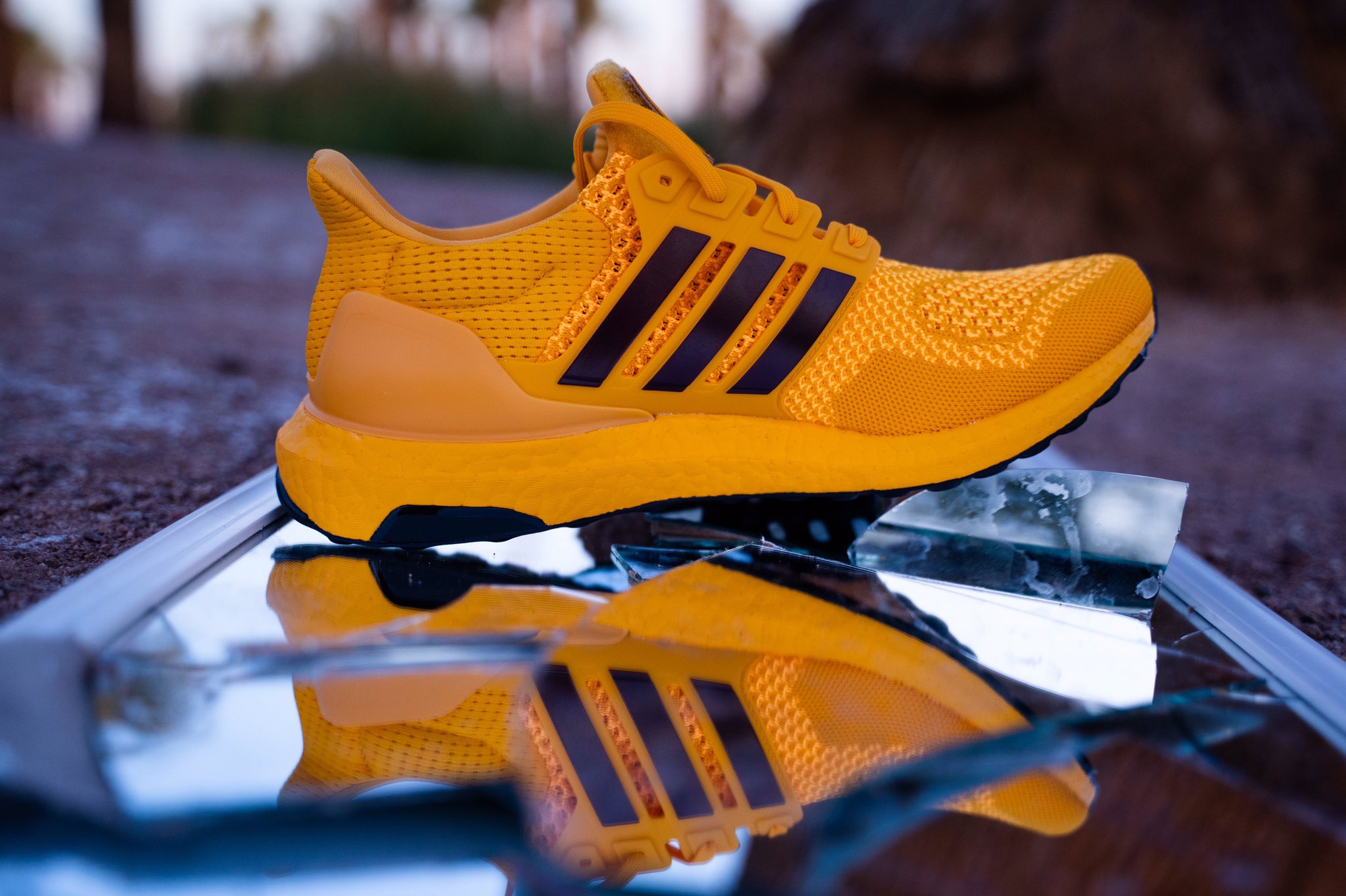 sun devils ultraboost 1.0 dna shoes