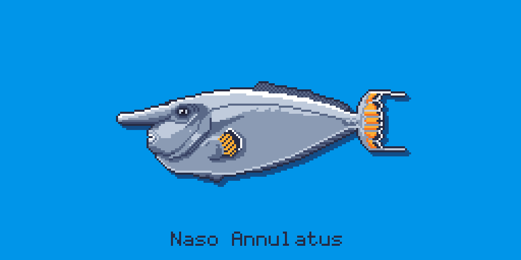 ShakaAdim's tweet photo. #naso #annulatus #pixelfish
#pixelart #pixelartist #under100gang https://t.co/EwbVSORT3H