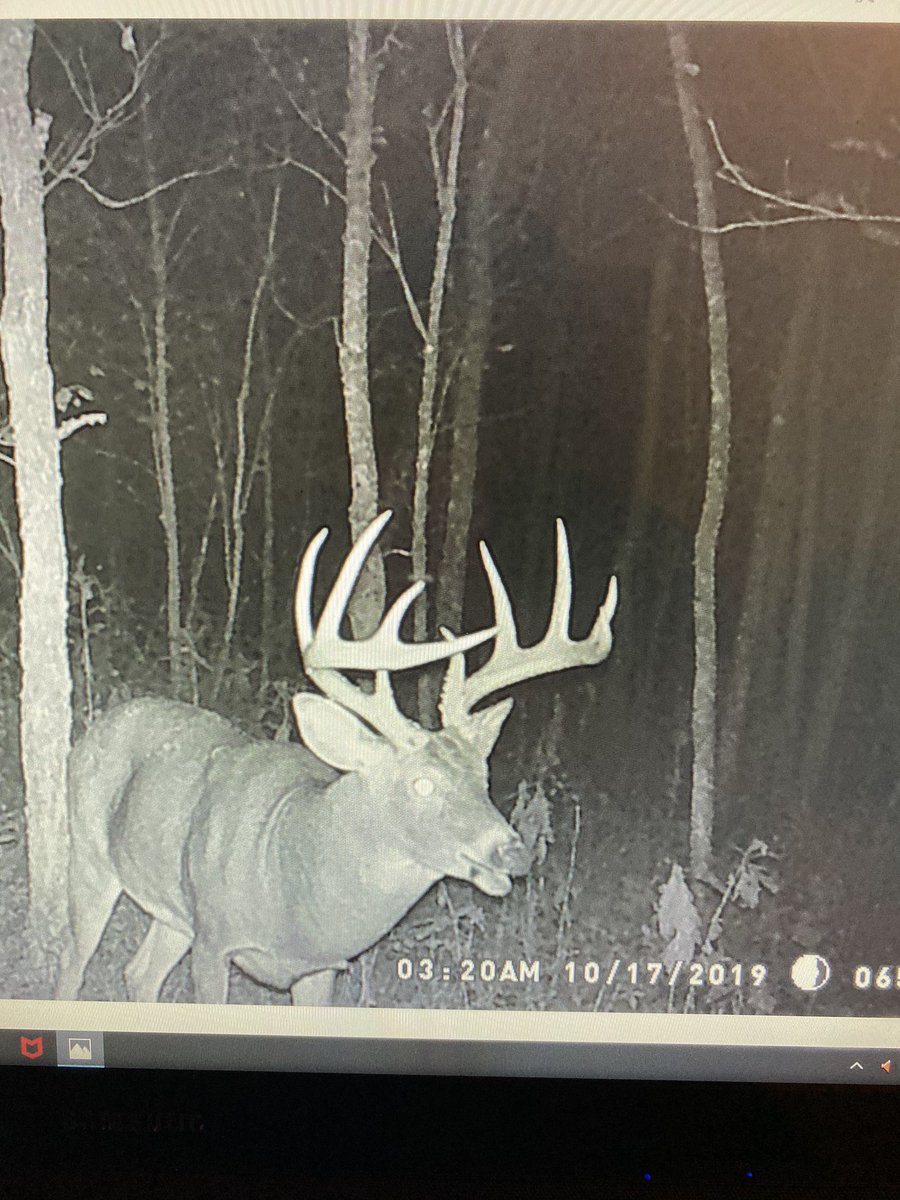GeoffreyThorns1's tweet photo. It feels like Christmas Eve here in Kentucky. #DeerSzn https://t.co/PFS2uAUemR
