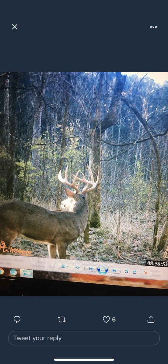 GeoffreyThorns1's tweet photo. It feels like Christmas Eve here in Kentucky. #DeerSzn https://t.co/PFS2uAUemR
