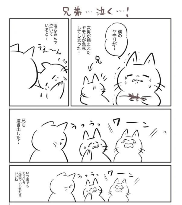 今日は兄弟で泣く…! 