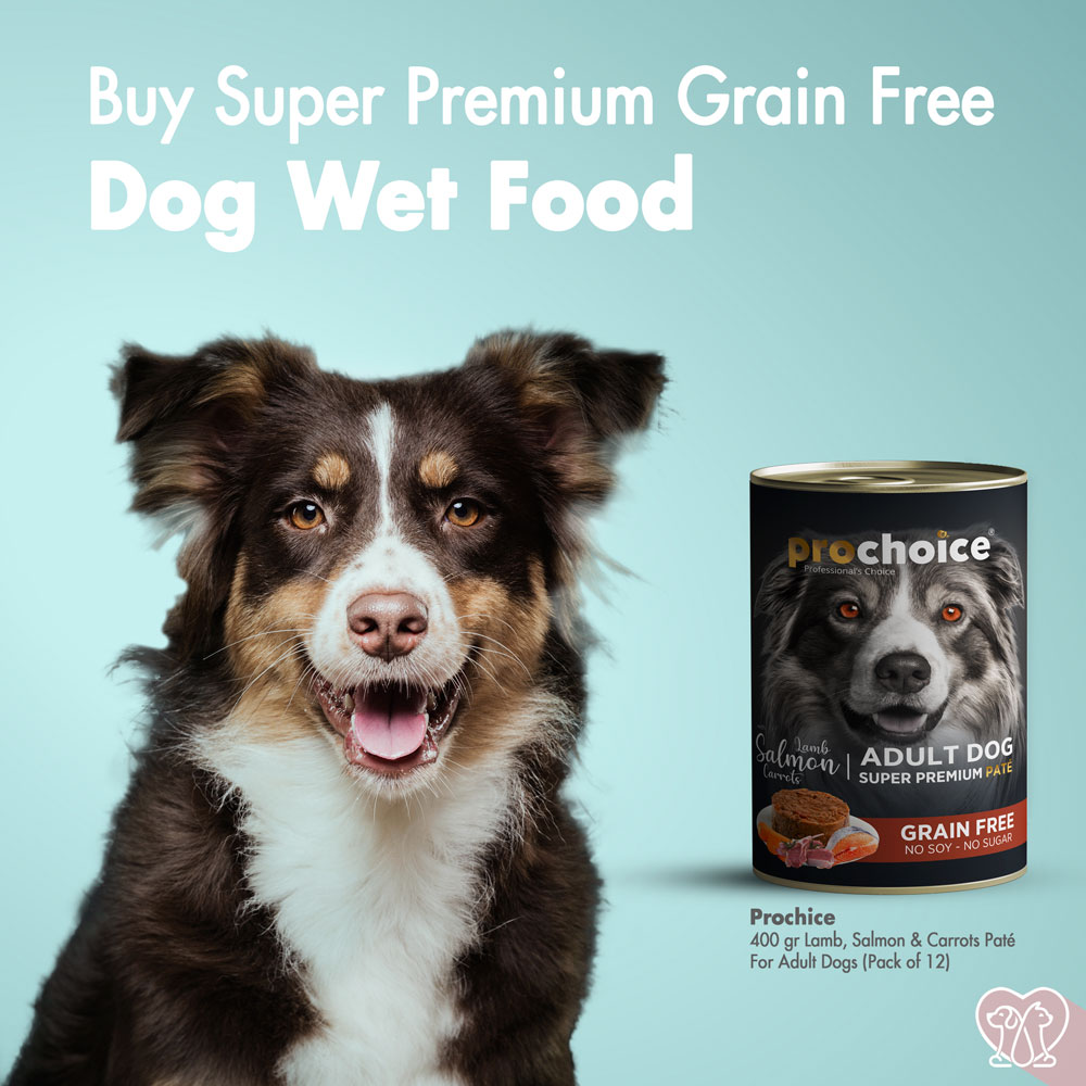 Discover Happy Pet Food products ... 
#happypetfood #happypeople #happypets #happycat #happydog #happydoghappylife #dogwalkerslife #dogsofinstagram #dogstagram 
zcu.io/sgam