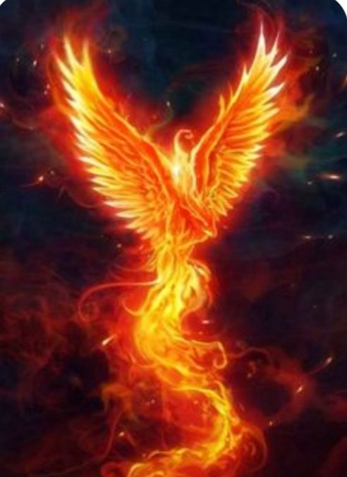 RStephenAuthor's tweet photo. @SamuelK38354273 https://t.co/wIv6y4oIuE