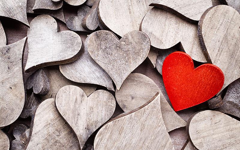 Looking for love: How do you pick yourself up after the death of your partner or a divorce? 

U3A members share their stories in the Autumn issue of Third Age Matters.