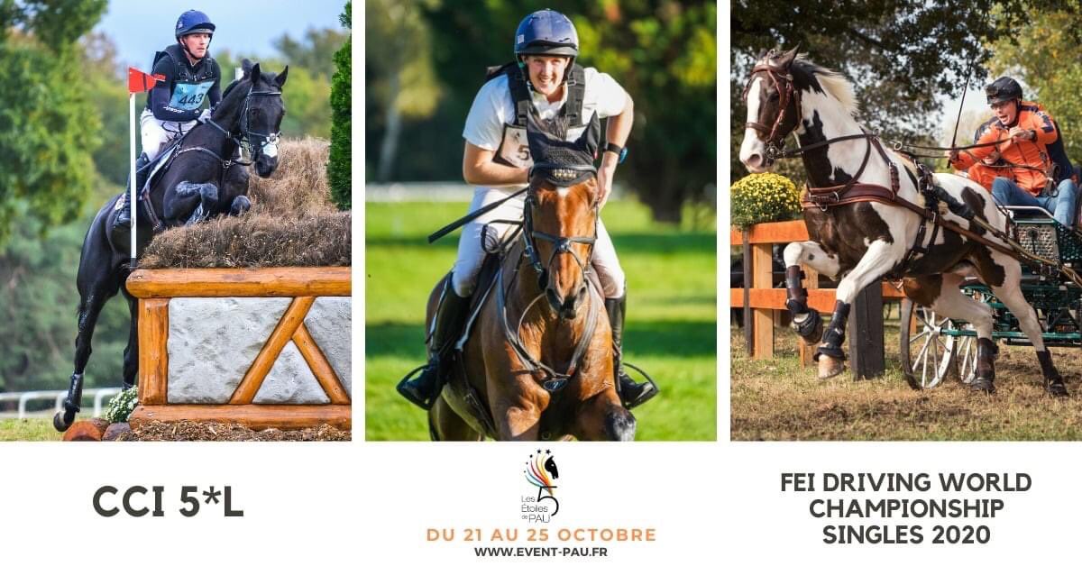 Rendez-vous à Pau du 21 au 25 octobre pour vivre deux compétitions uniques : le seul CCI 5* de l’année et les Championnats du Monde d’attelage à un cheval ! Réservez dès maintenant vos places ici
ticketpass.fr/centaure-event…