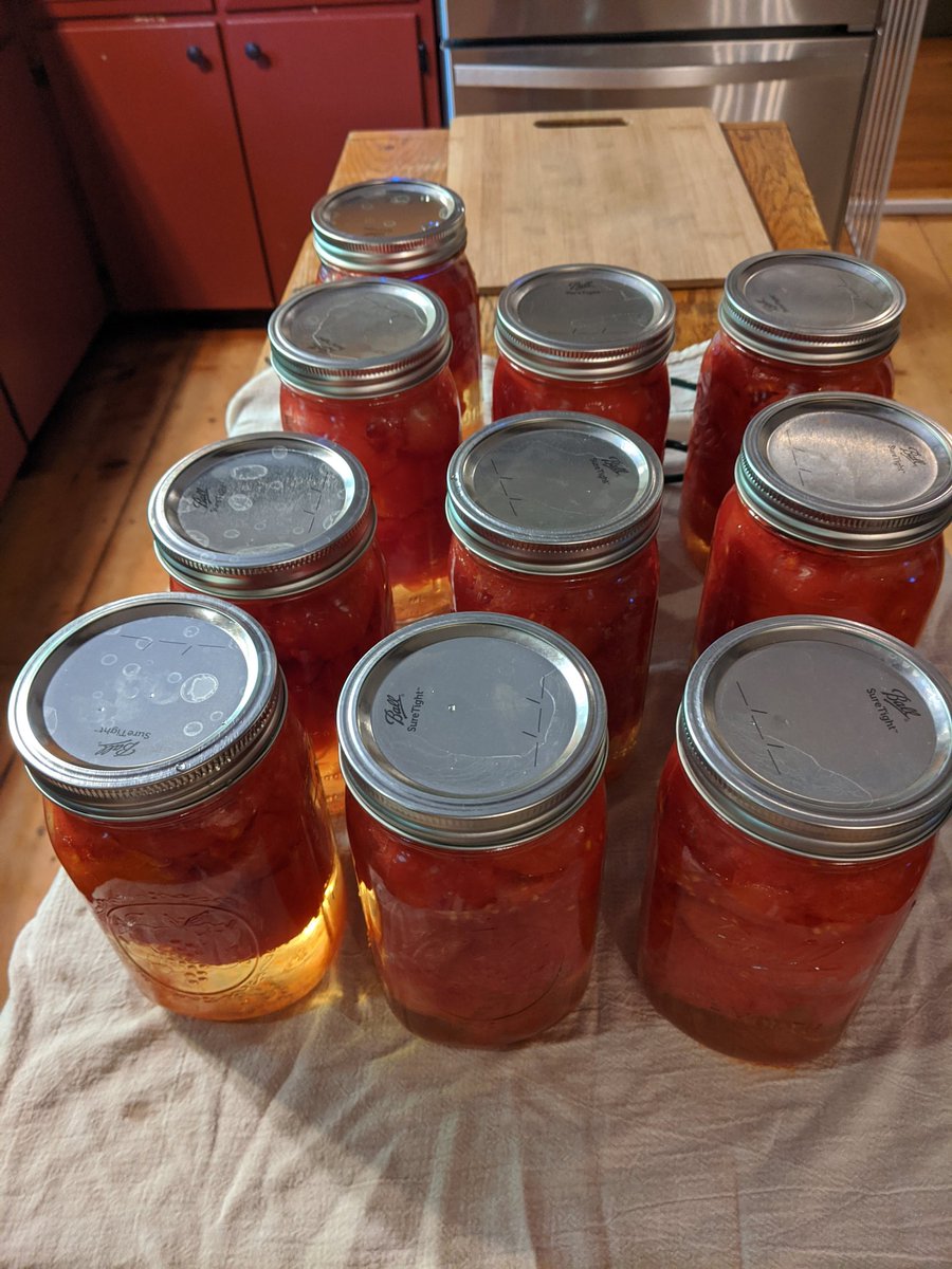 10 qts roma. I might can one more batch of salsa, but tomatoes are pretty much done for the season.