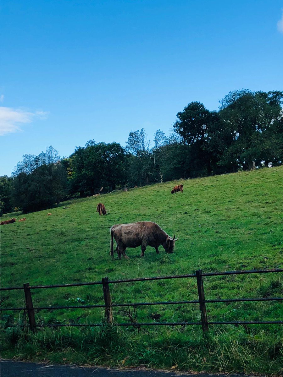 HomeStartGS's tweet photo. Such a lovely walk around the park this morning, we were happy to be back with some of the group 😊🥰
#HSGS #reducingisolation #mentalhealth #clearyourhead #Glasgow https://t.co/0d21UDPLmf