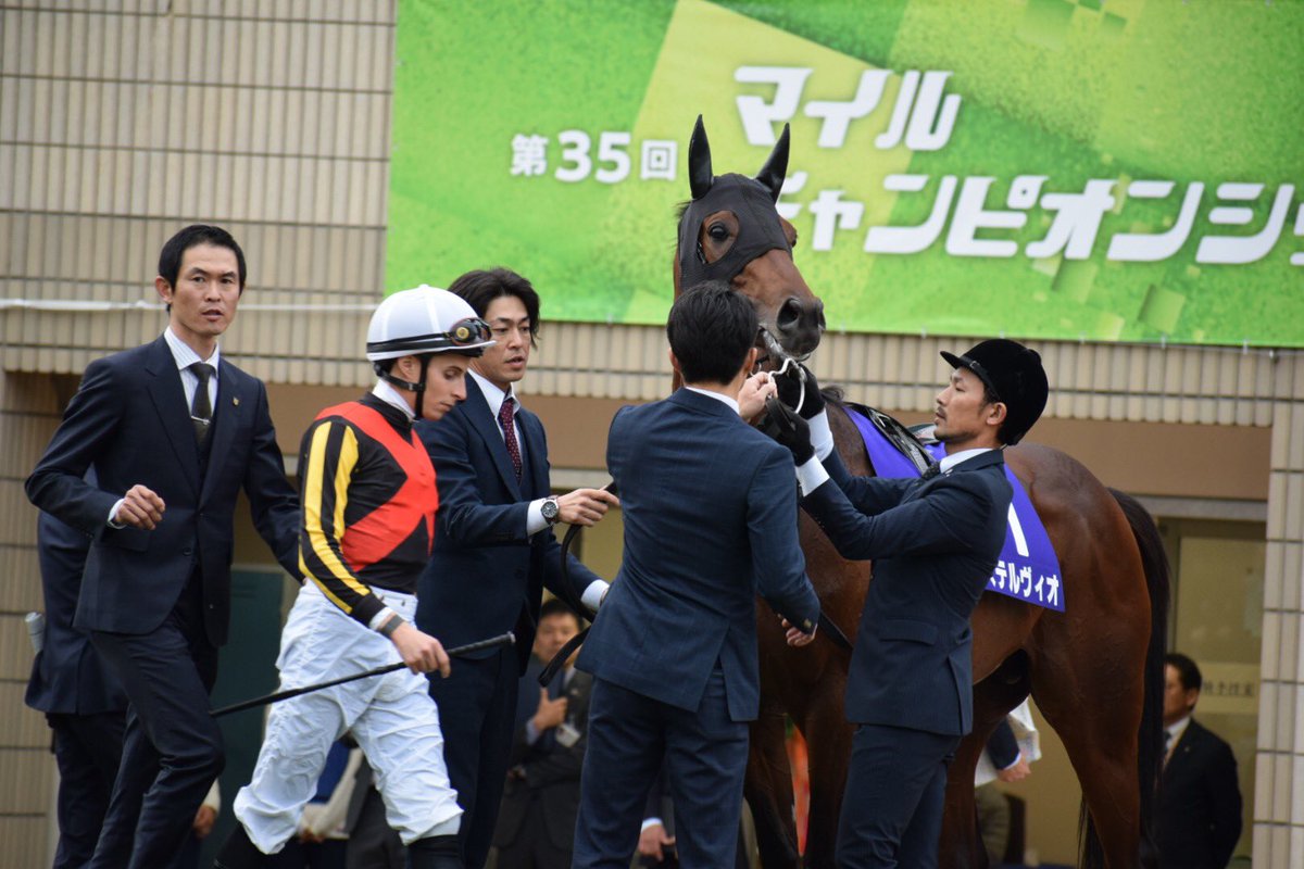 TEAM KIMURA STABLE (@T_Kimura_family) / Posts / X