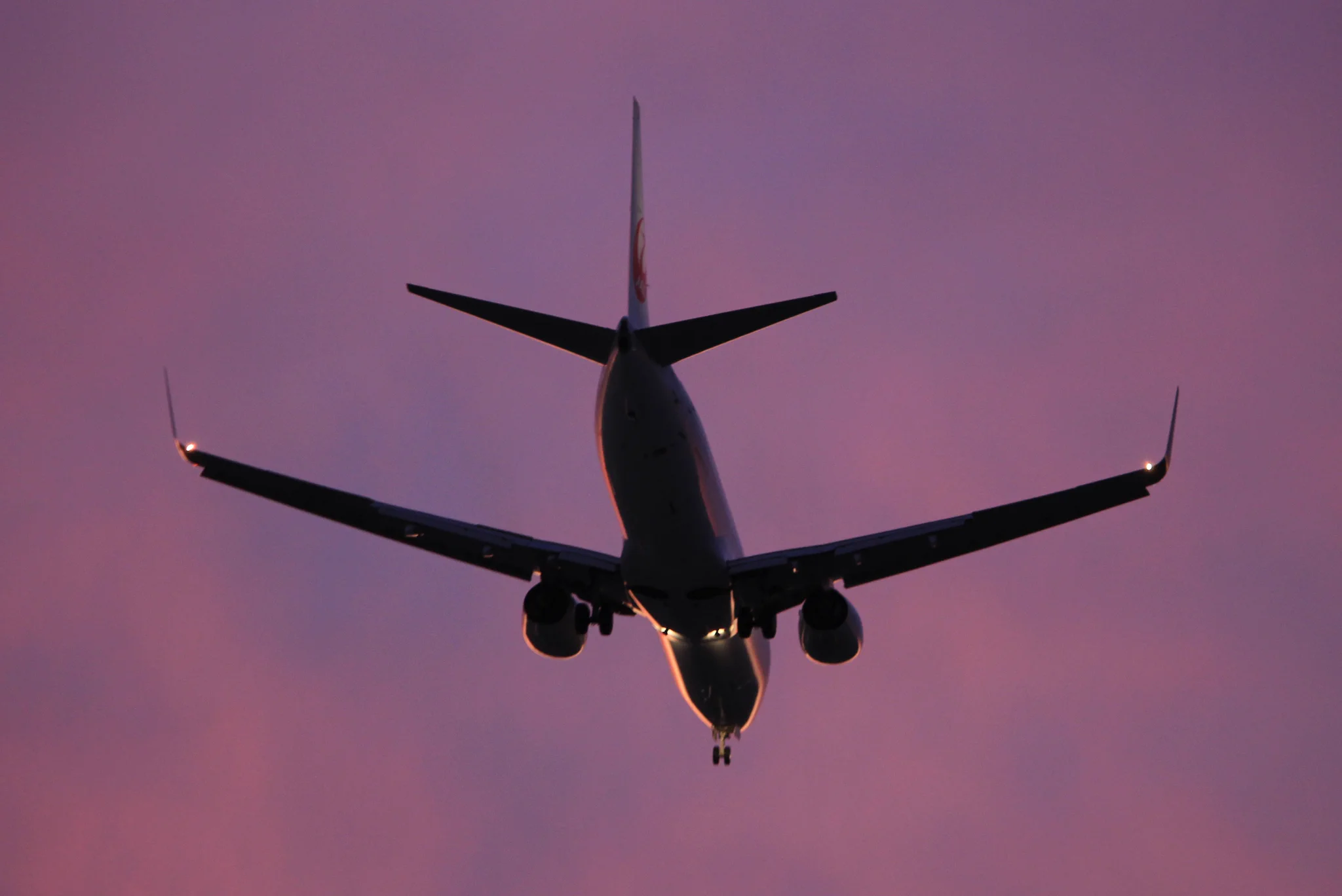JAPAN AIRLINES【JAL】 on X: 