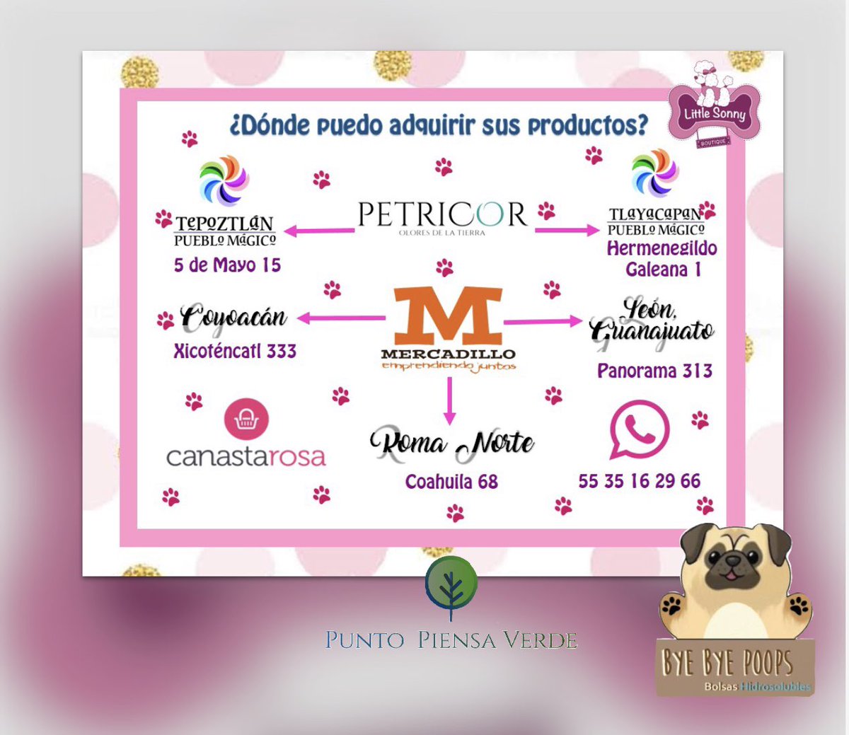 PiensaPunto's tweet photo. Estamos muy felices que en @Littlesonnybout  ya pueden adquirir sus Bye Bye Poops🐶💩🚽, puedes ir a sus tiendas o por linea.
Gracias por unirse al cambio.

#BYEBYEPOOPS #lapopoalcaño #lapoponoenlabasura https://t.co/YnXSjXUdlf