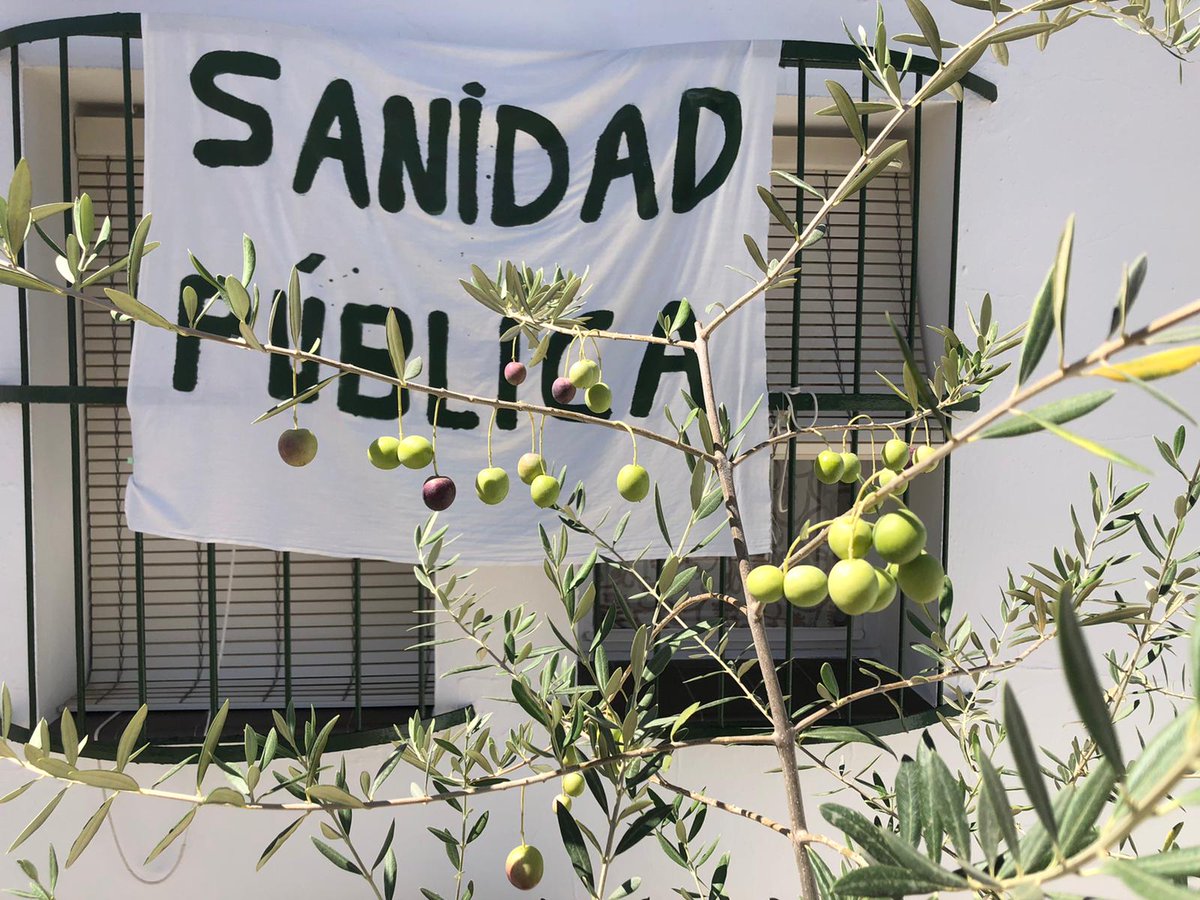 DcaValle's tweet photo. Esta foto es la puerta de mi casa.
Hay un olivo con 47 aceitunas y un trozo de tela defendiendo la Sanidad Pública que está puesta desde marzo.
Los olivos son señas de identidad de nuestra tierra, dan trabajo y riqueza.
La Sanidad Pública debe de ser una reivindicación universal. https://t.co/jLMeHqcIIE
