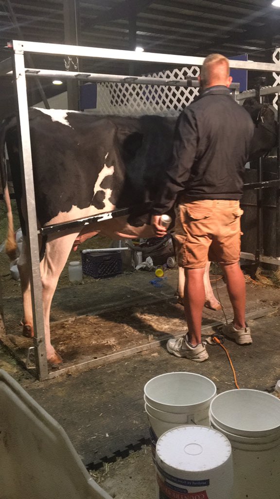 TweetRanch's tweet photo. Up long before the sun getting ready for the Western Spring National Cow Show 2020 https://t.co/FhnXPpliK8