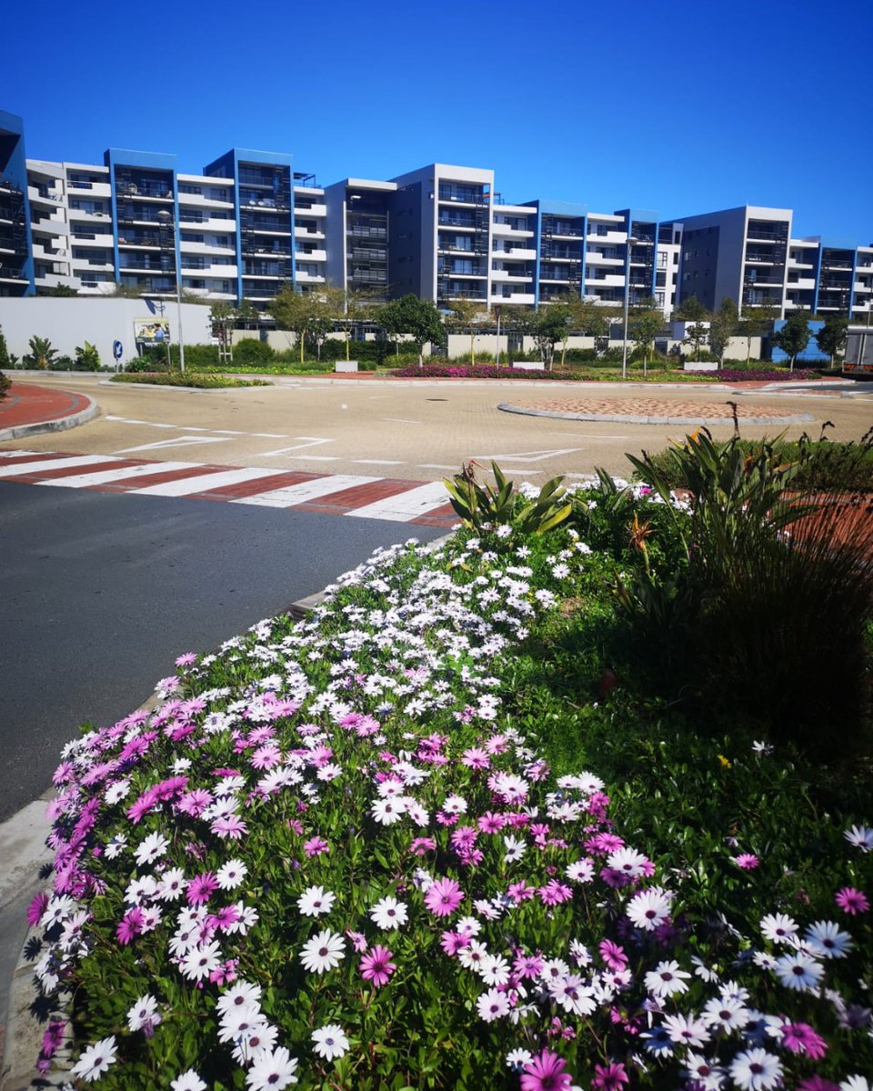 Invitationhome's tweet photo. #Flowers are in bloom everywhere around the #CenturyCity area🌸 https://t.co/AkPcOkmGQc