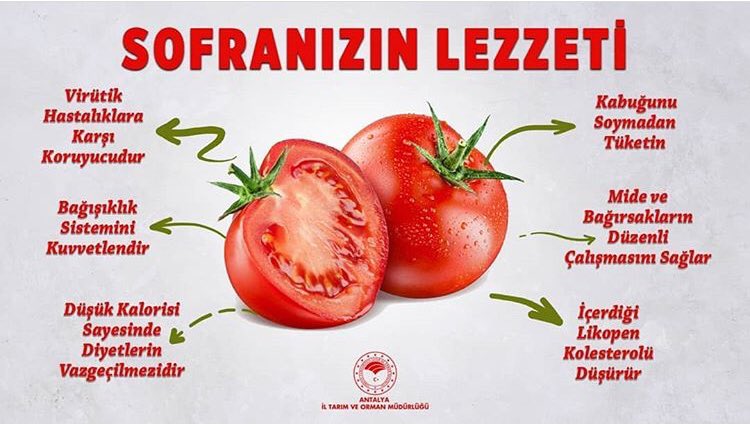 antalyailtarim's tweet photo. #Domates Sağlıktır. Yüksek oranda #Likopen ve #Cvitamini içeriği ile iyi bir antioksidandır. Birçok hastalığa karşı koruyucudur.
Domatesi #365Gün Tüketelim @gkhankaraca
🍅 #GıdanıKoru #israfetme https://t.co/mi6R8WZnIO