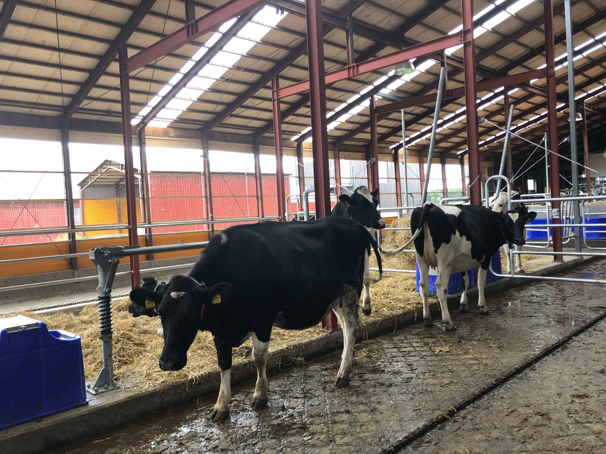 Today the first #4dBarnDesigned robot barn in Japan had it's grand opening! Here are some pictures: