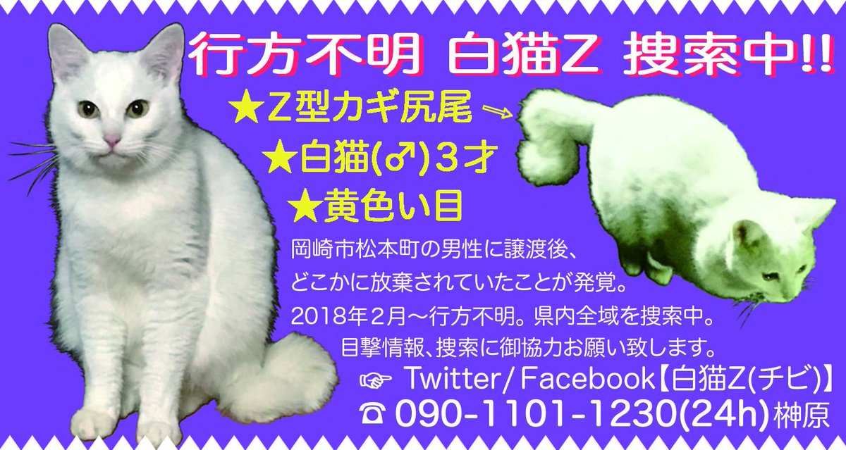猫チキ様専用！】TACKLEと3K白猫!! 美術品・アンティーク