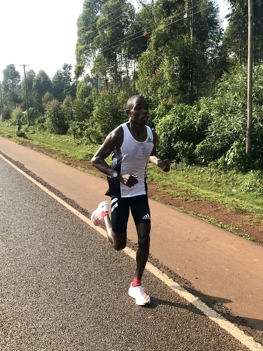 2RunningClub's tweet image. Ready for the restart 2020 Half marathon from @RunCzech will take place this Saturday in Prague. Benson Kipruto and Felix Kipkoech will be part of this unique event. Fast times and a good show expected!
@adidasrunning 
@adidas