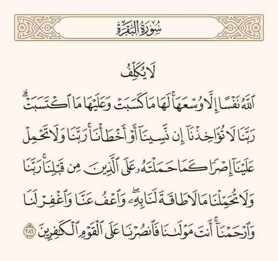 Assala 𓂆 tweet media