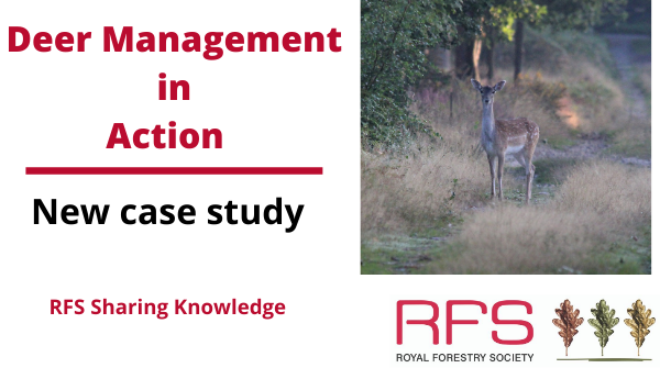 royal_forestry's tweet photo. 10 years of deer monitoring/control are helping build a sustainable and resilient woodland. New case study from Boughton Estate #Northamptonshire where fallow deer and muntjac have been a challenge #deercontrol #resilientwoods #forestersuk  https://t.co/0Ema4mP6Wh https://t.co/cvwGBBaY8a