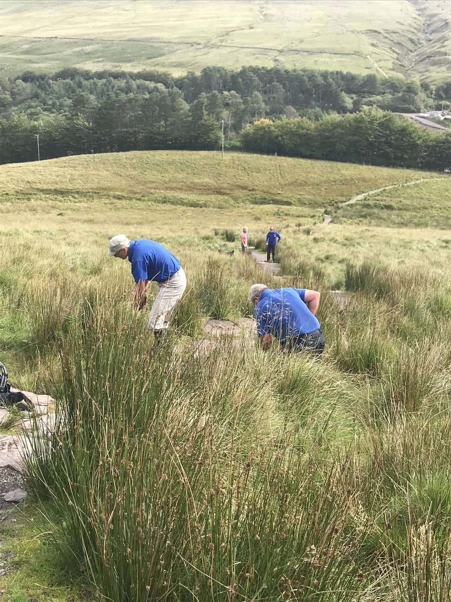 criminology4u's tweet photo. Neuadd path @BreconBeaconsNP #volunteering #breconbeacons https://t.co/OAtHCQL23A
