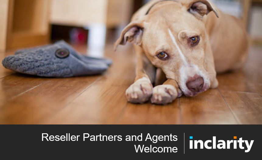 Inclarity_Comms's tweet photo. Make sure your business is using a pedigree comms system. Whether your team is back in the office, working from home or out for a walk, we can provide fully featured business telephony &amp; collab services to every employee https://t.co/ItKDqgfUaF
#businesstelephony #itresellers https://t.co/2XtJyimxKB
