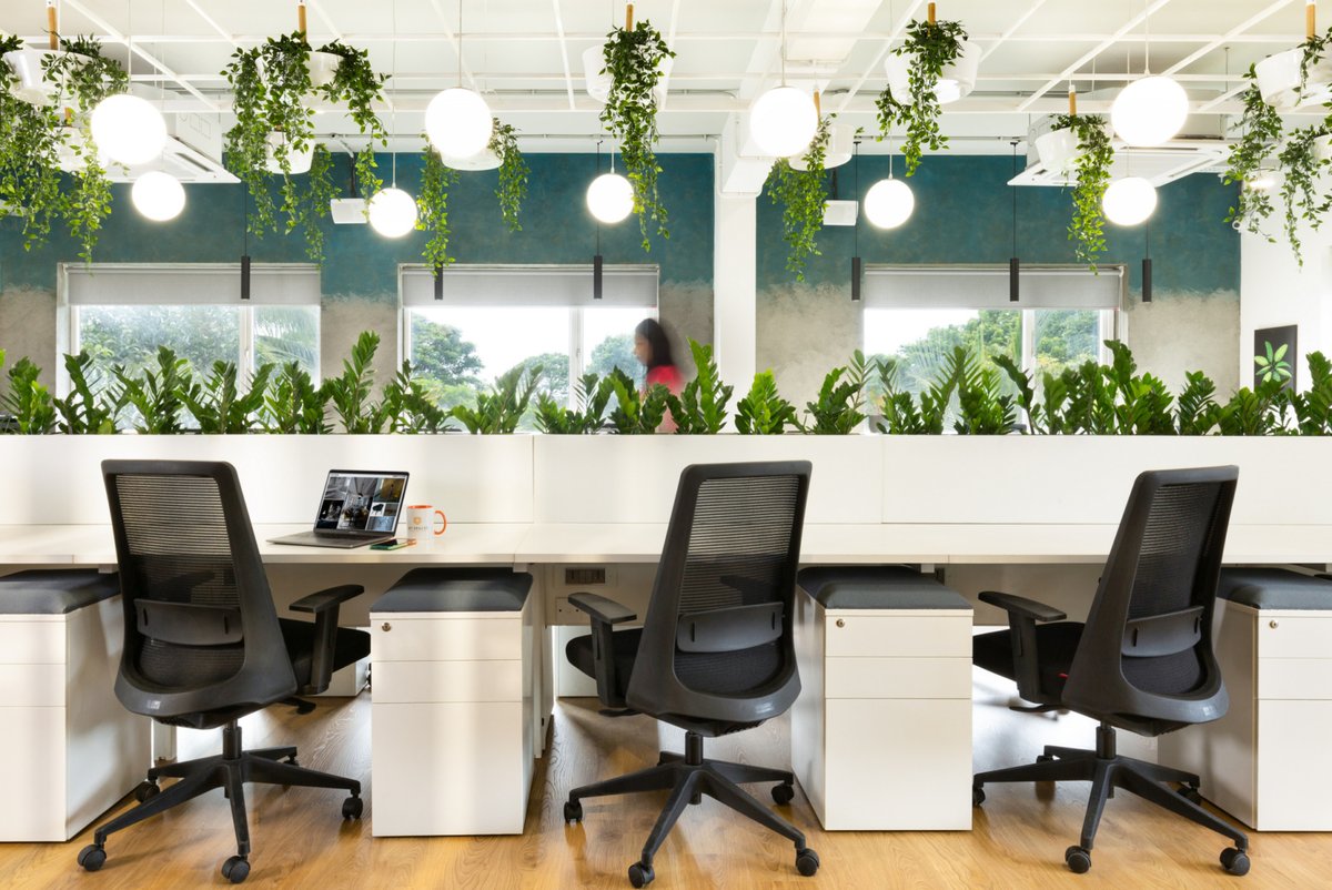 VantageSpaces's tweet photo. How stunning is this @myspaces workspace! 🌿 Using plant troughs and hanging plants to help create a vibrant workspace! 🤩

#designinspiration #officedesign #officedesigninspiration #uniqueofficedecor #biophilicdesign #officeplants #livingofficeplants #workplacedesign https://t.co/xiQjFd24Gm