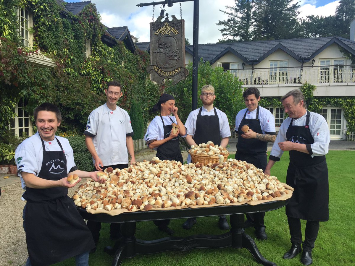 Macreddin's tweet photo. The excitement is real... Wild Wicklow Ceps #pennybun #mushrooms #harvestseason #macreddin #harvestmenu #thestrawberrytree #wicklow https://t.co/aA7qUrhz7o