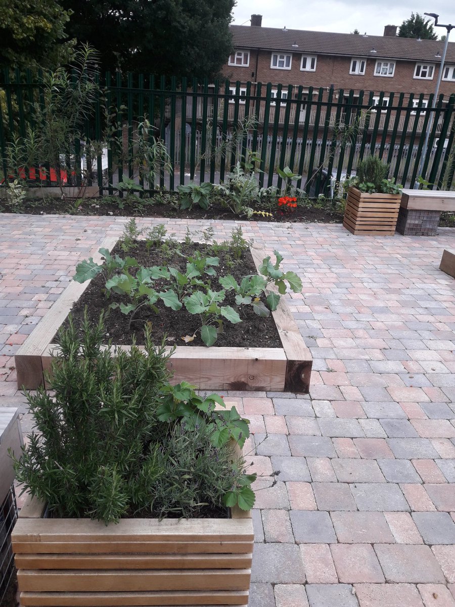 WHFGarden's tweet photo. Fresh runner beans available to collect outside Rutley Grove Community Garden! 

Been weeding along the front wall this morning, adding some hardy geraniums in place of the bindweed, couch grass and brambles - an ongoing battle I feel 🙄💪🌱 https://t.co/d2uDkUeVbg