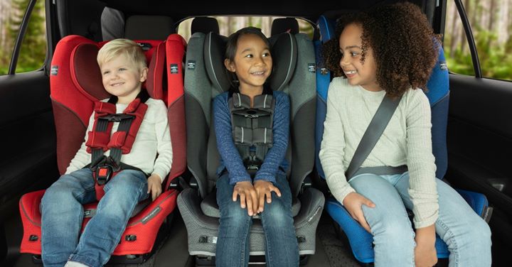 DearBornBaby tweet media