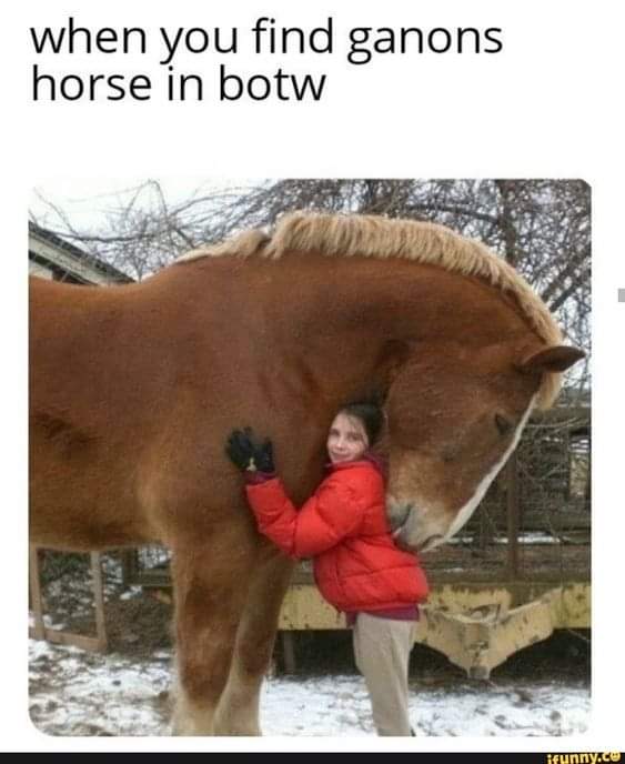 Zelda Informer tweet media