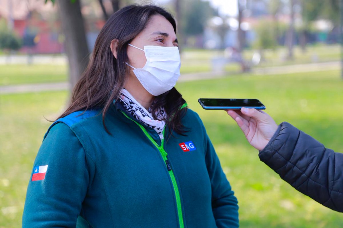 sagchile's tweet photo. Hoy a las 10.00 horas, Marcela Idalsoaga, coordinadora de Lobesia botrana de @sagchile #OHiggins conversará con Radio Trigal acerca del control de esta plaga y el rol de los emisores de feromonas. Síguelo en https://t.co/lf7i8dQ0pE https://t.co/5cMjEOEcRa
