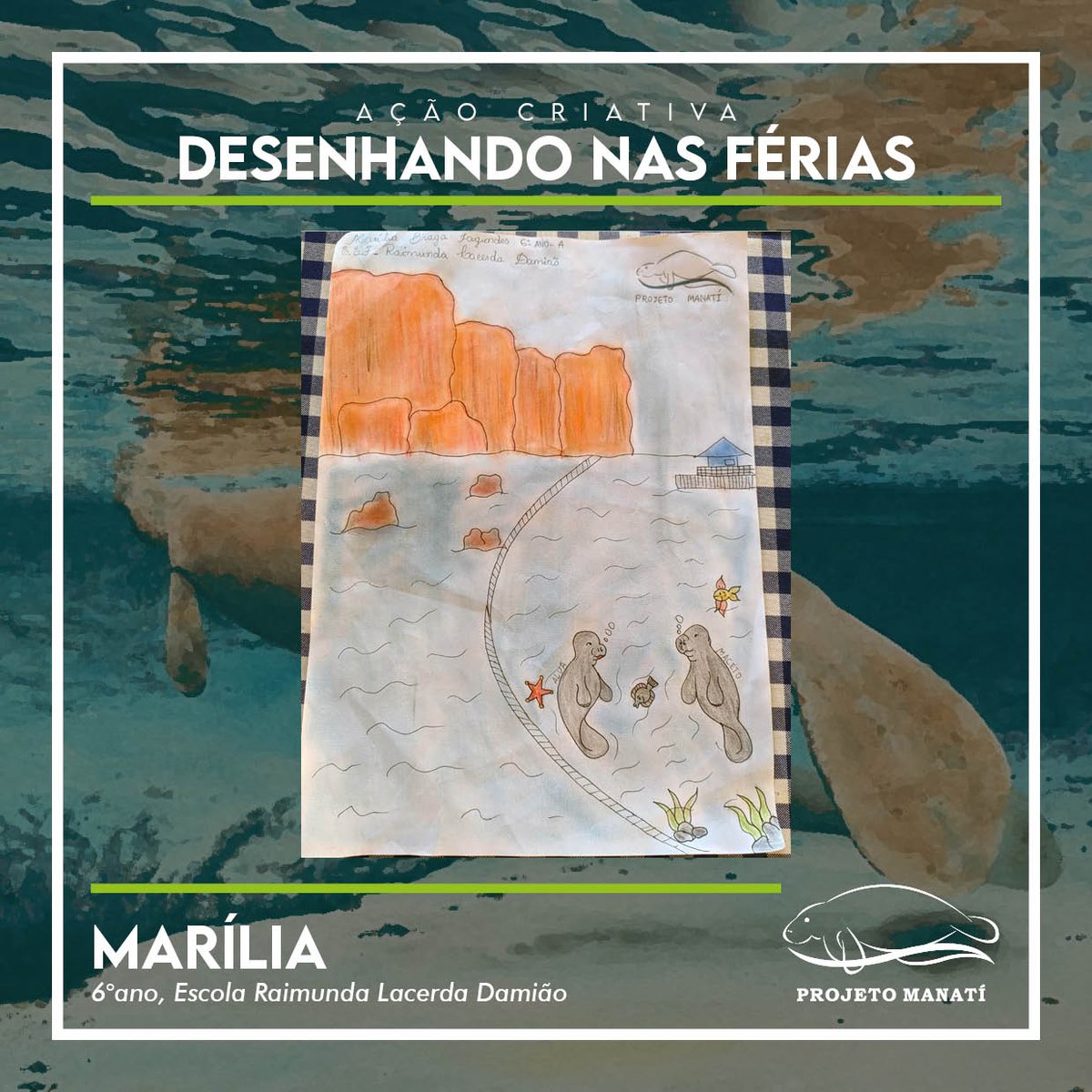 Projeto Manatí tweet media