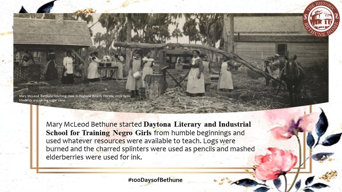 B_CULibrary's tweet photo. Day15 | #100DaysofBethune https://t.co/sBZwON63MS